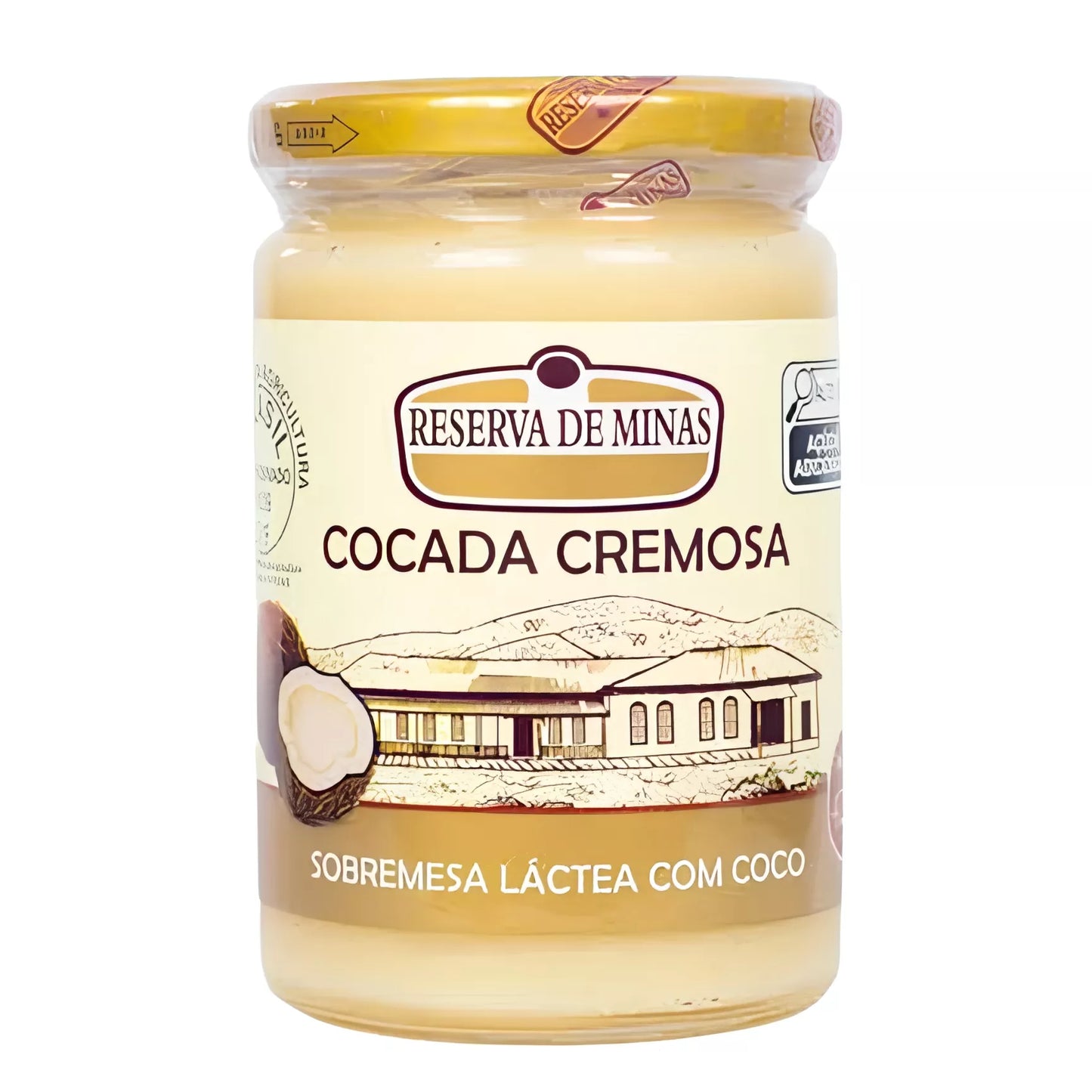 Cocada Cremosa - Reserva de Minas 680G