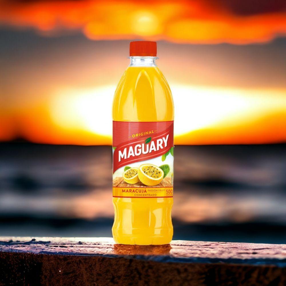 Concentrated Flavored Juice - Maguary 500ML